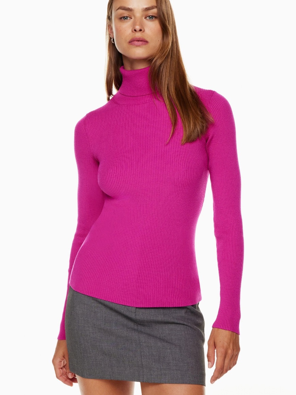 Aritzia | Compel Turtleneck
